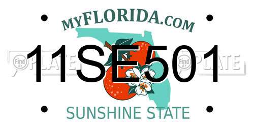 11SE501 Florida License Plate