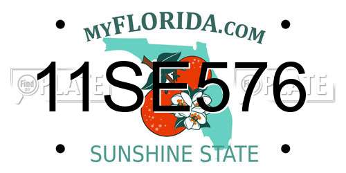 11SE576 Florida License Plate