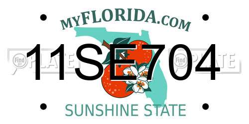 11SE704 Florida License Plate