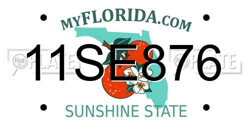 11SE876 Florida License Plate