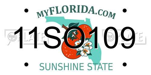 11SO109 Florida License Plate