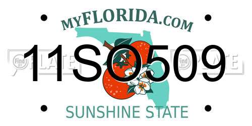 11SO509 Florida License Plate