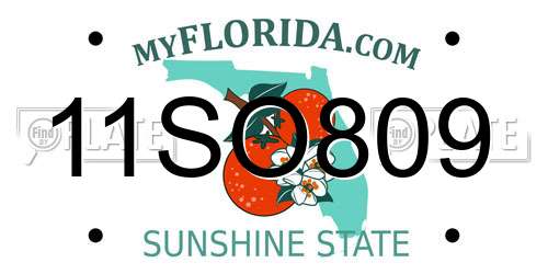 11SO809 Florida License Plate