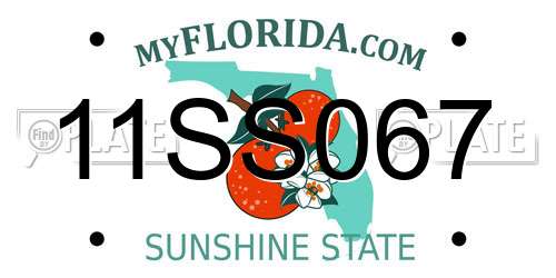 11SS067 Florida License Plate