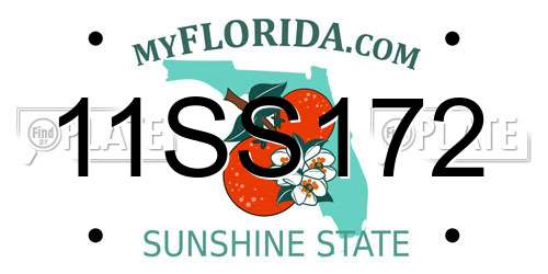 11SS172 Florida License Plate