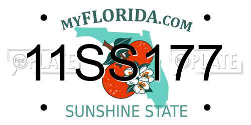 11SS177 Florida License Plate