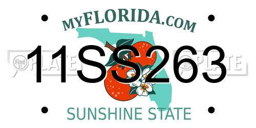 11SS263 Florida License Plate
