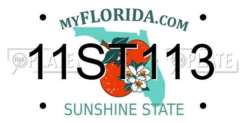 11ST113 Florida License Plate