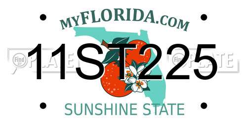 11ST225 Florida License Plate