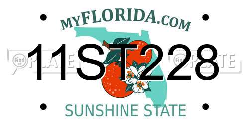 11ST228 Florida License Plate
