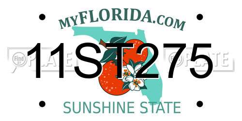 11ST275 Florida License Plate