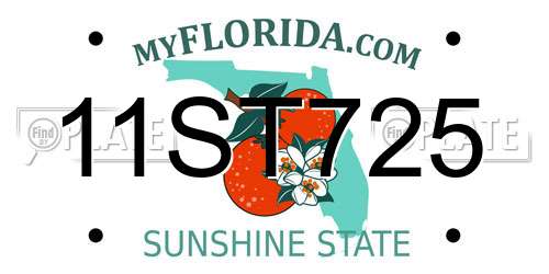 11ST725 Florida License Plate