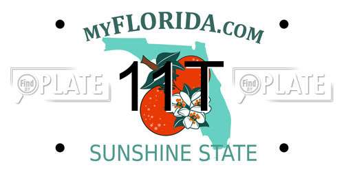 11T Florida License Plate