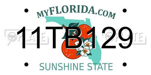 11TB129 Florida License Plate