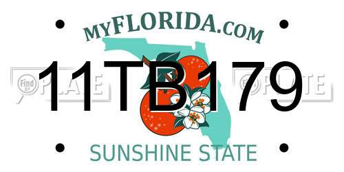 11TB179 Florida License Plate