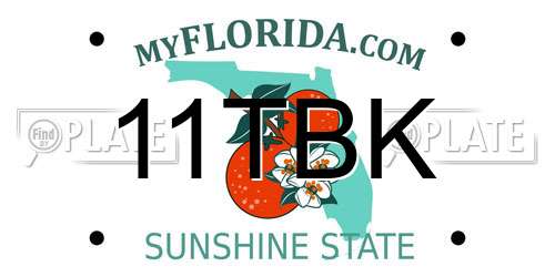 11TBK Florida License Plate