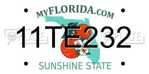 11TE232 Florida License Plate