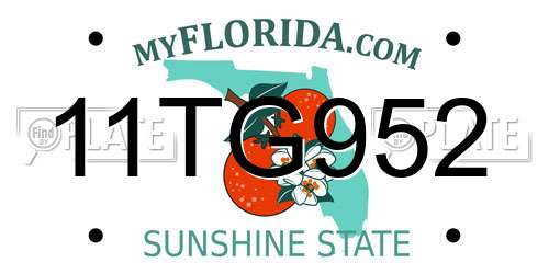11TG952 Florida License Plate