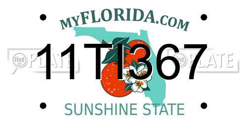 11TI367 Florida License Plate