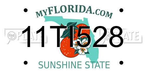 11TI528 Florida License Plate