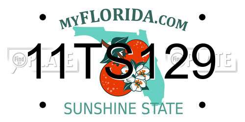 11TS129 Florida License Plate