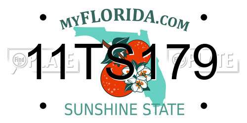 11TS179 Florida License Plate