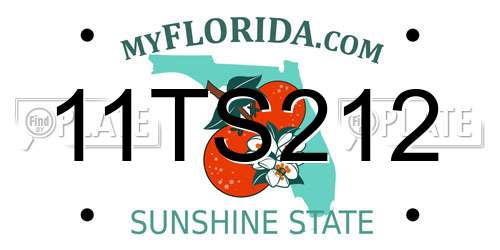 11TS212 Florida License Plate