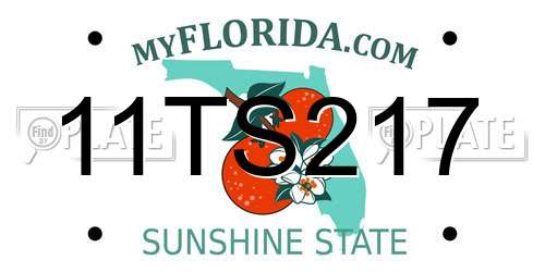 11TS217 Florida License Plate