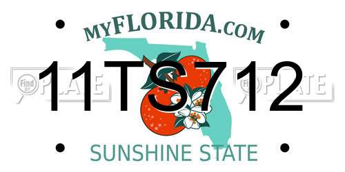 11TS712 Florida License Plate