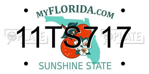 11TS717 Florida License Plate
