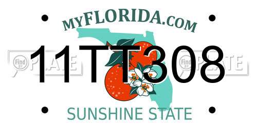 11TT308 Florida License Plate