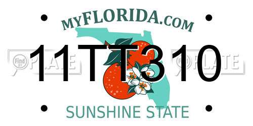 11TT310 Florida License Plate