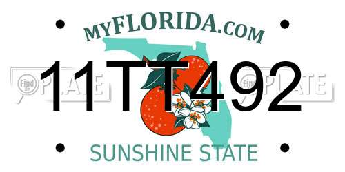 11TT492 Florida License Plate