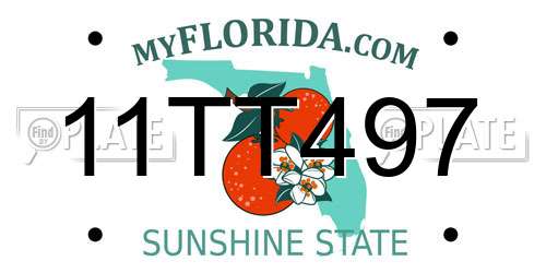 11TT497 Florida License Plate