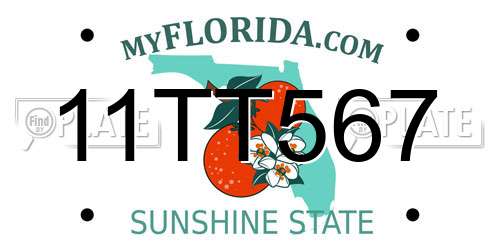 11TT567 Florida License Plate