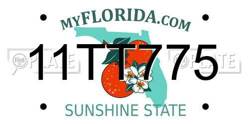 11TT775 Florida License Plate