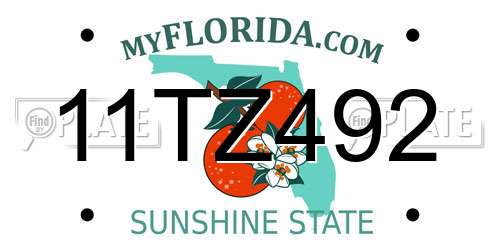 11TZ492 Florida License Plate