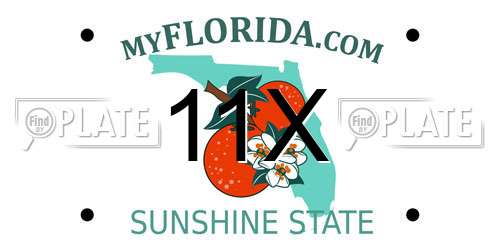 11X Florida License Plate
