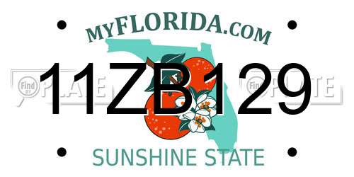 11ZB129 Florida License Plate