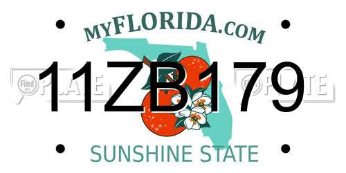 11ZB179 Florida License Plate
