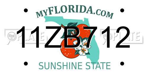 11ZB712 Florida License Plate