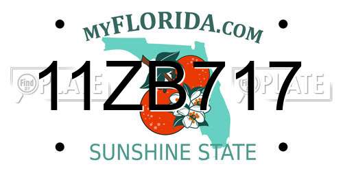 11ZB717 Florida License Plate