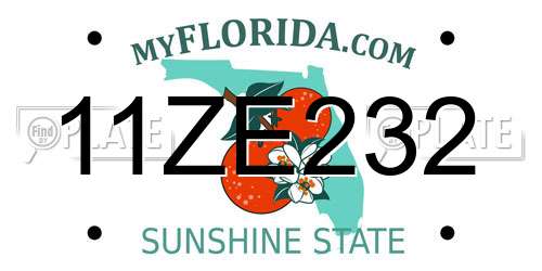 11ZE232 Florida License Plate