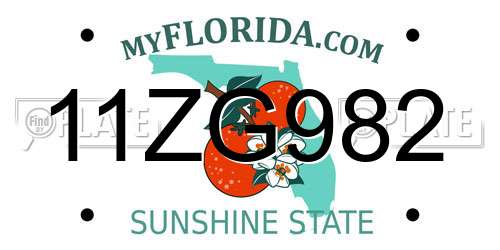 11ZG982 Florida License Plate