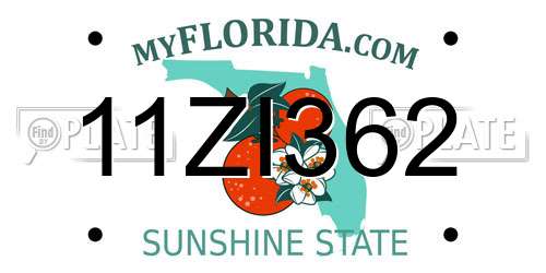 11ZI362 Florida License Plate