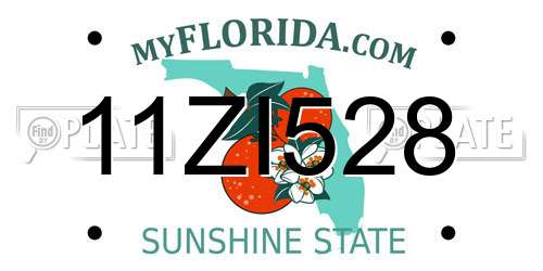 11ZI528 Florida License Plate