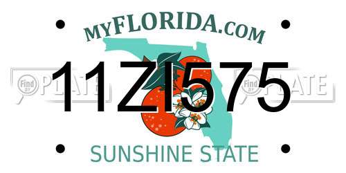 11ZI575 Florida License Plate