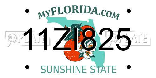 11ZI825 Florida License Plate