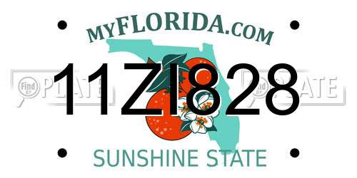 11ZI828 Florida License Plate