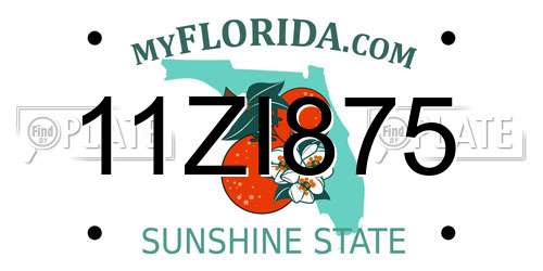 11ZI875 Florida License Plate